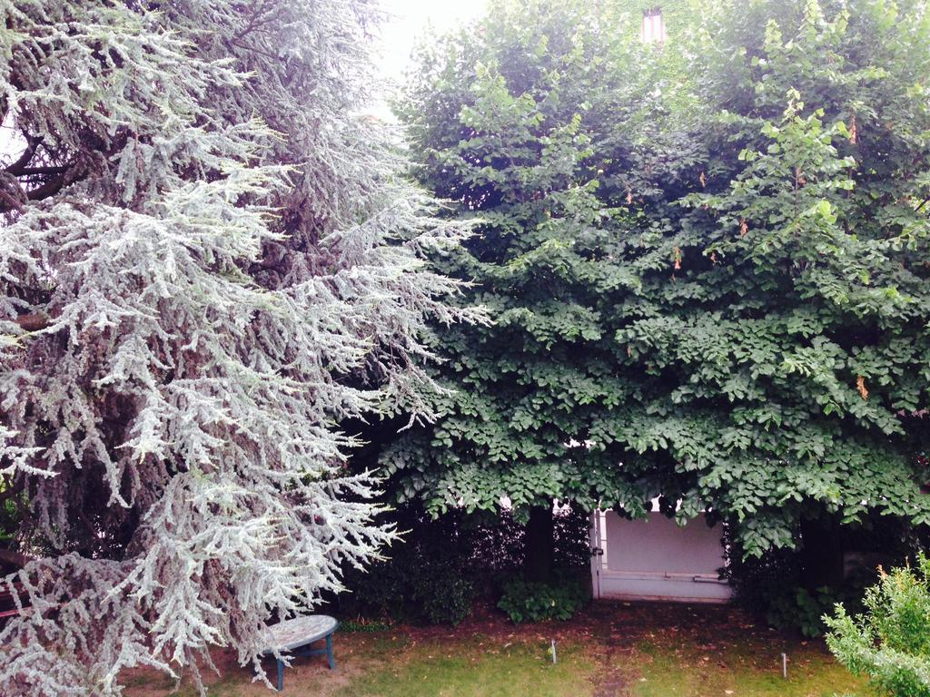 Il Cedro Argentato Apartman Monza Kültér fotó